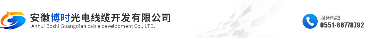 安徽博时光电线缆开发有限公司