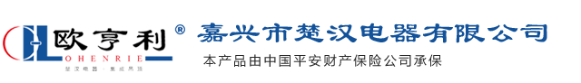 嘉兴市楚汉电器有限公司