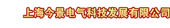 上海今景电气科技发展有限公司