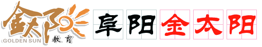 阜阳金太阳会计代理记账咨询服务有限公司