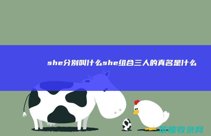 she分别叫什么 she组合三人的真名是什么