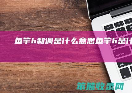 鱼竿h和调是什么意思 鱼竿h是什么意思