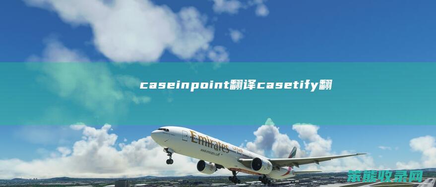 caseinpoint翻译 casetify翻译