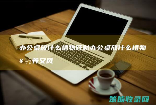 办公桌放什么植物旺财 办公桌放什么植物好养又风水好