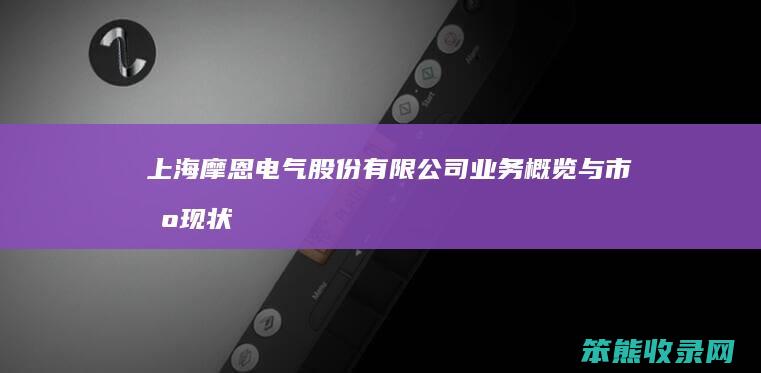 上海摩恩电气股份有限公司 业务概览与市场现状