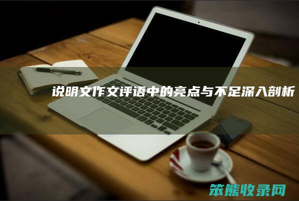 说明文作文评语中的亮点与不足 深入剖析