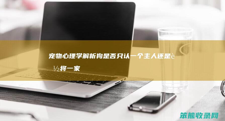 宠物心理学解析 狗是否只认一个主人 还是能将一家人视为主人