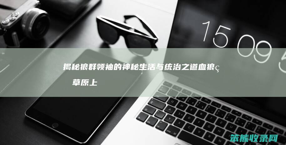 揭秘狼群领袖的神秘生活与统治之道 血狼王 草原上的传奇