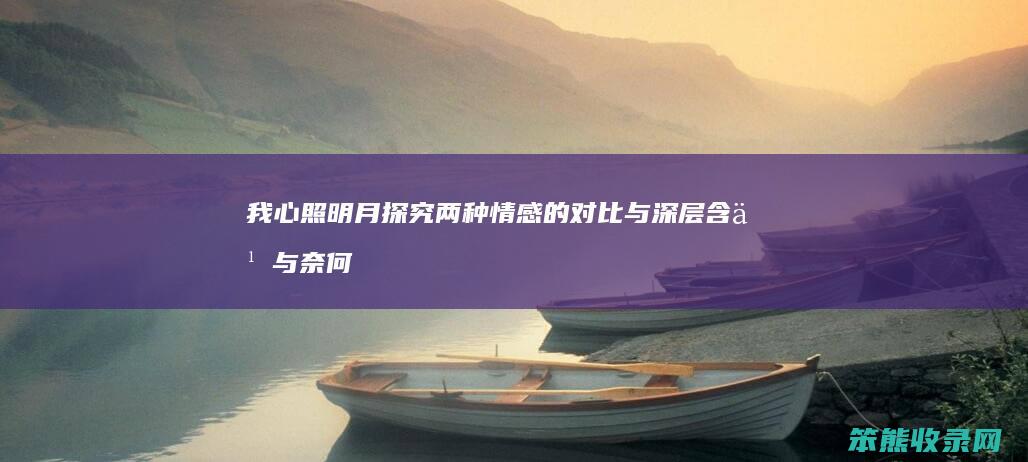 我心照明月 探究两种情感的对比与深层含义 与 奈何明月照沟渠