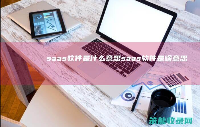 saas软件是什么意思（saas软件是啥意思）