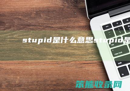 stupid是什么意思（stupid是什么意思）