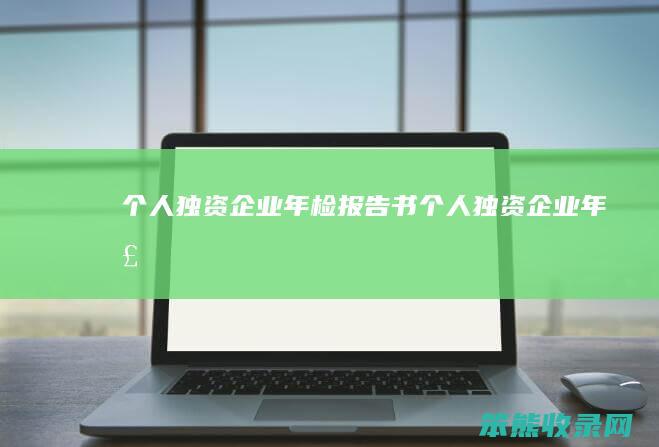 独资企业年检报告书独资企业年检