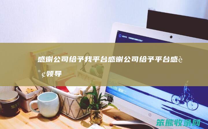 感谢公司给予我平台感谢公司给予平台感谢领导