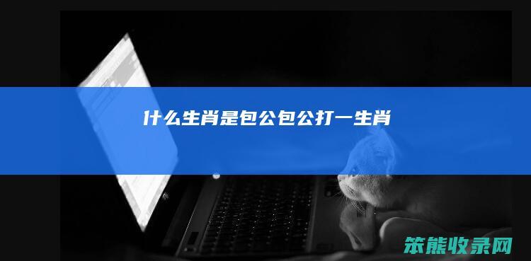 是包公包公打一