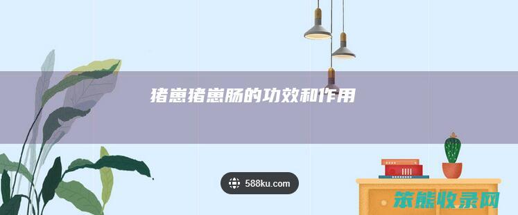 猪崽猪崽肠的功效和