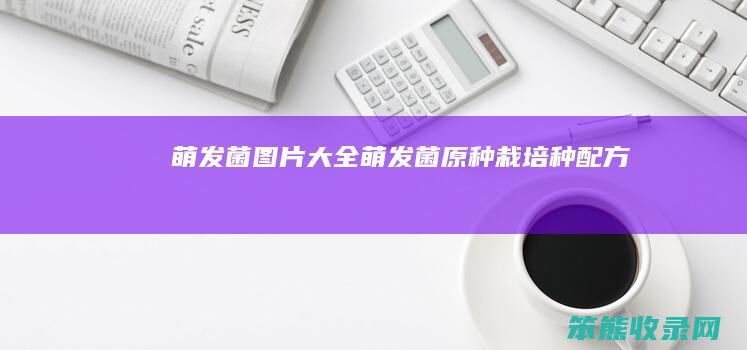 萌发菌图片大全萌发菌原种栽培种配方