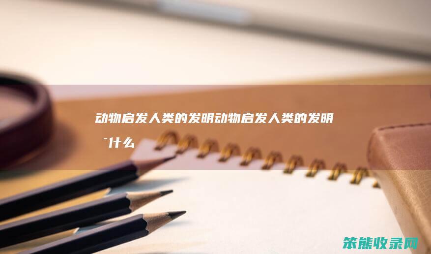 动物启发的发明动物启发的发明