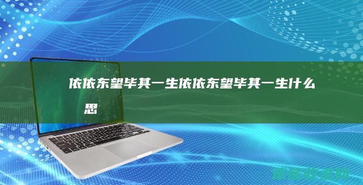 依依东望毕其一生依依东望毕其一生什么