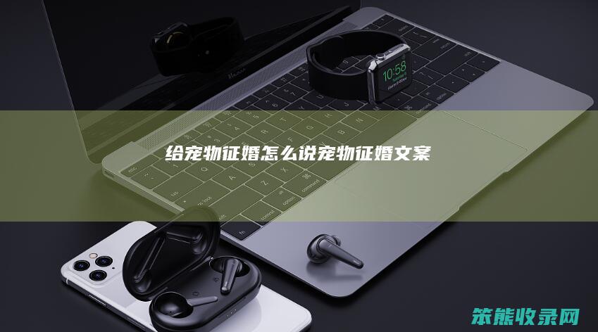 给宠物征婚说宠物征婚文案