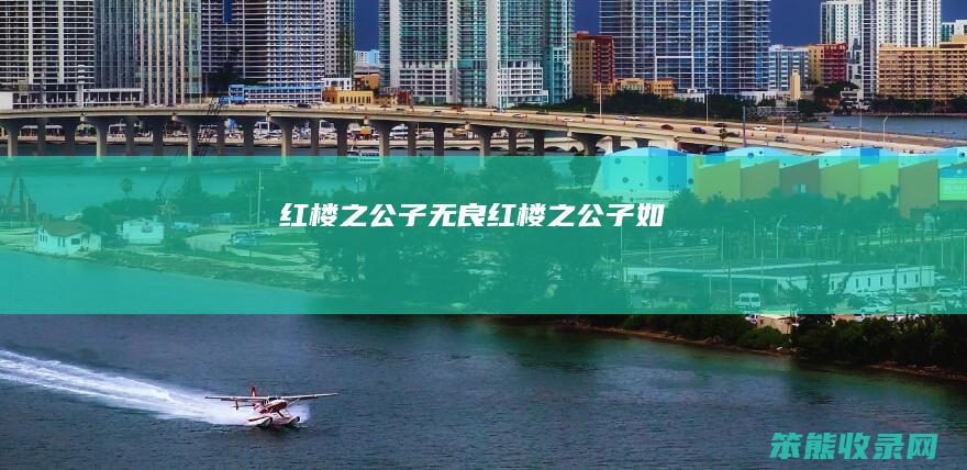红楼之公子无良红楼之公子如