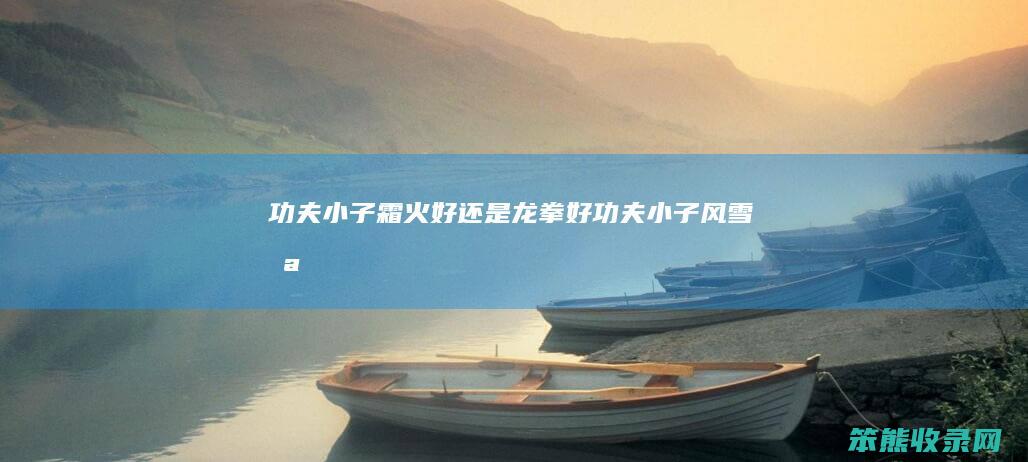 功夫小子霜火好龙拳好功夫小子风雪枪