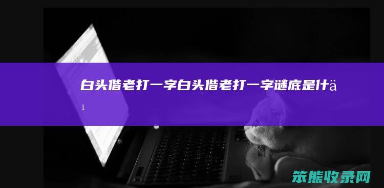白头偕老打一字白头偕老打一字谜底