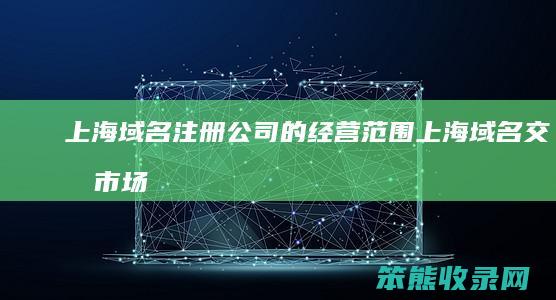 上海域名注册公司的经营范围上海域名交易市场