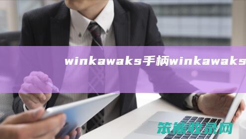 winkawaks手柄winkawaks手