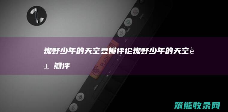 燃野少年的天空豆瓣评论燃野少年的天空豆瓣评