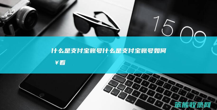 是支付宝账号是支付宝账号查看