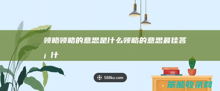 领略领略的领略的最佳答案什