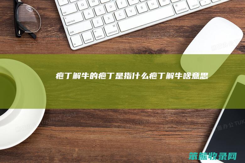 疱丁解牛的疱丁是指疱丁解牛啥