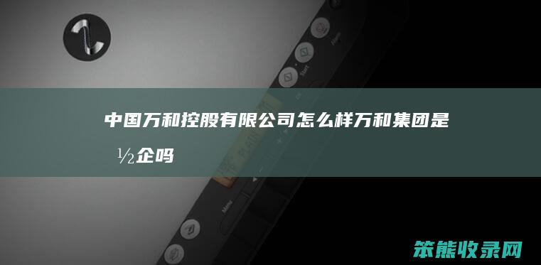 中国万和控股有限公司万和集团是国企吗