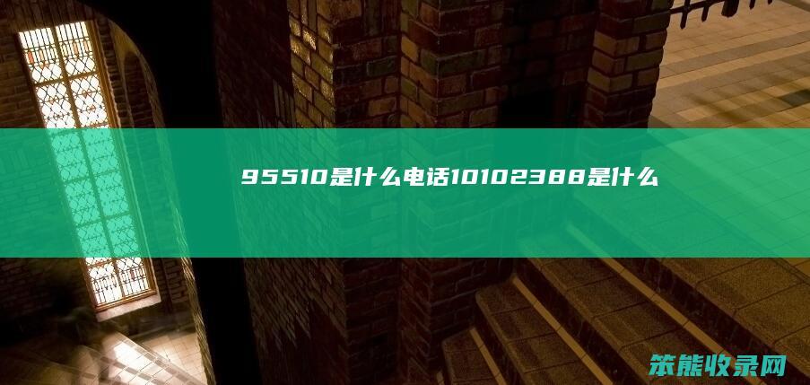 95510电话10102388