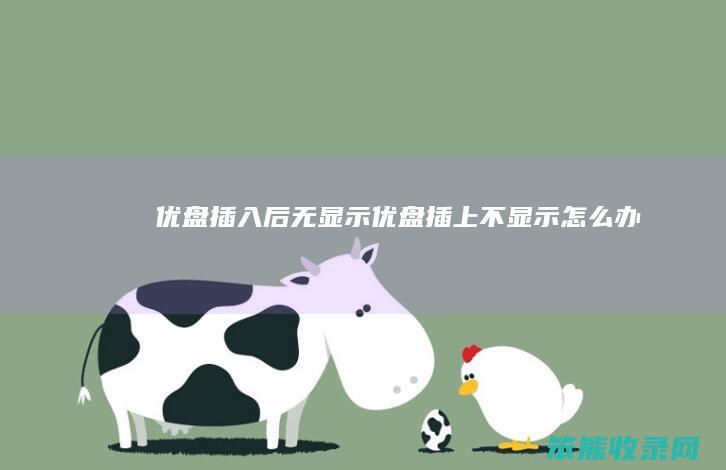 优盘插入后无显示优盘插上不显示办