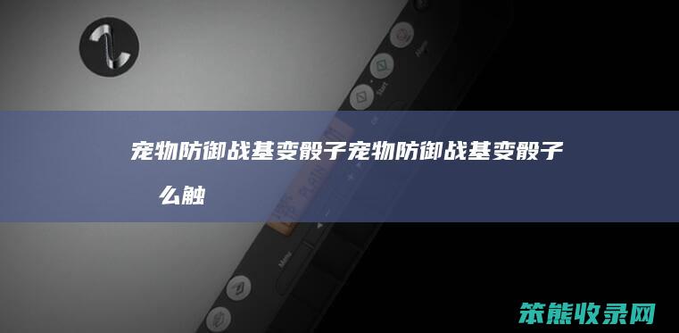 宠物防御战基变骰子宠物防御战基变骰子触