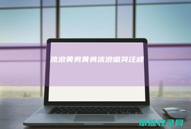 流浪黄勇黄勇流浪唱哭汪峰