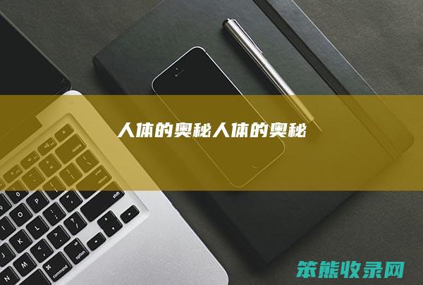 人体的奥秘人体的奥秘