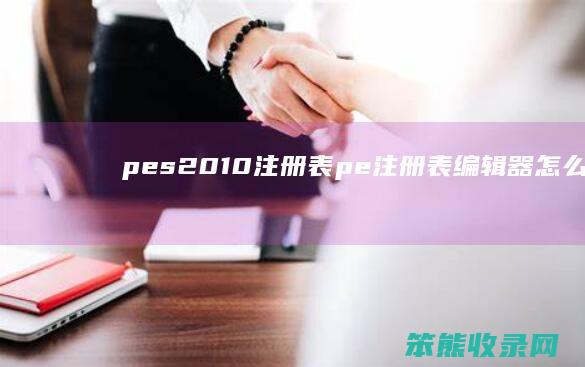 pes2010注册表pe注册表编辑器用