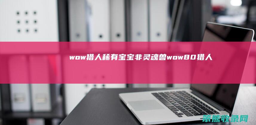wow猎人稀有宝宝非灵魂兽wow80猎人