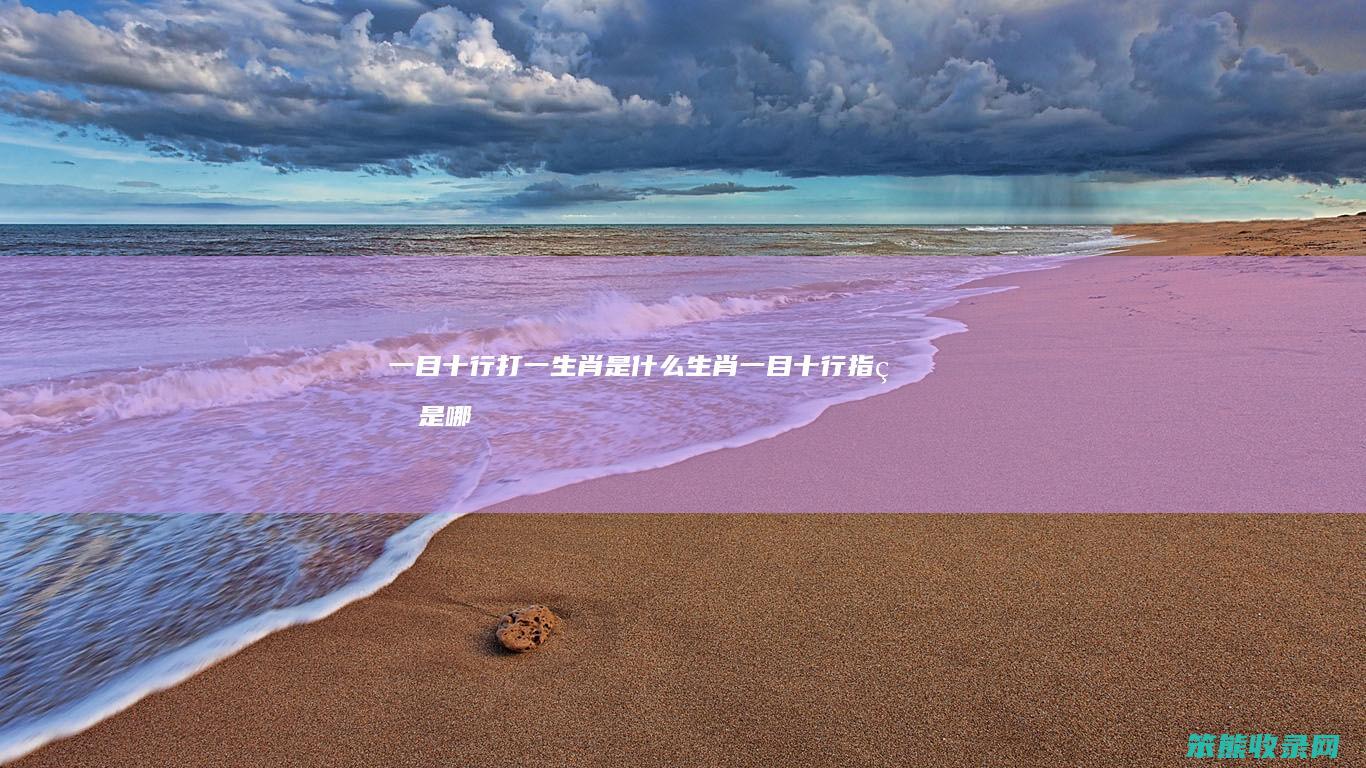 一目十行打一一目十行指的是哪