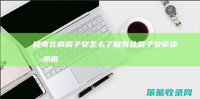 程寄北和辰子安了程寄北辰子安帝决噬邢傲