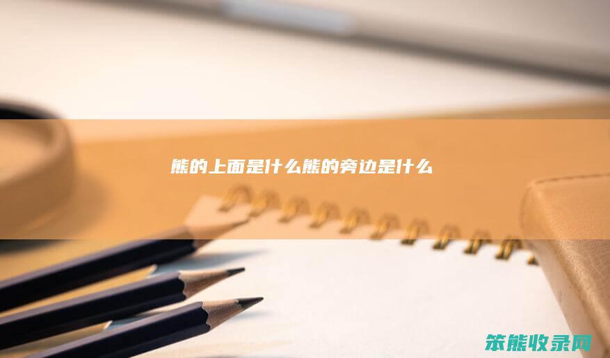 熊的上面熊的旁边