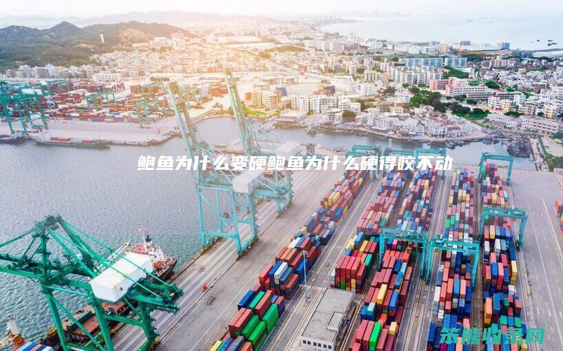 鲍鱼为变硬鲍鱼为硬得咬不动