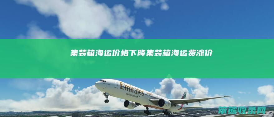 集装箱海运价格下降集装箱海运费涨价