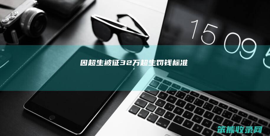 因超生被征32万超生罚钱标准