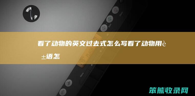 看了的英文过去式怎么写看了用英语怎