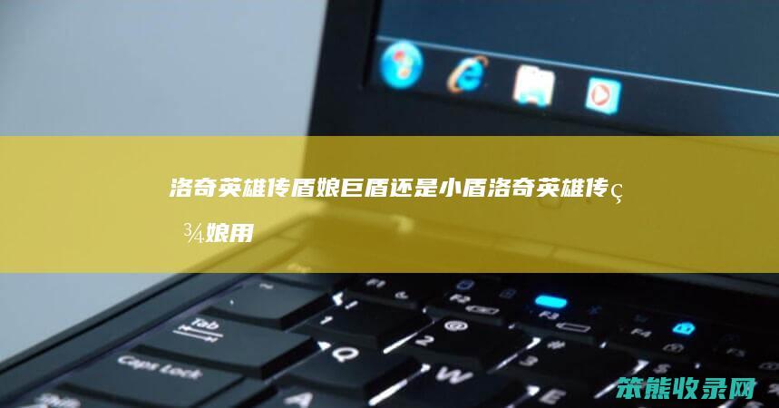 洛奇英雄传盾娘巨盾小盾洛奇英雄传盾娘用
