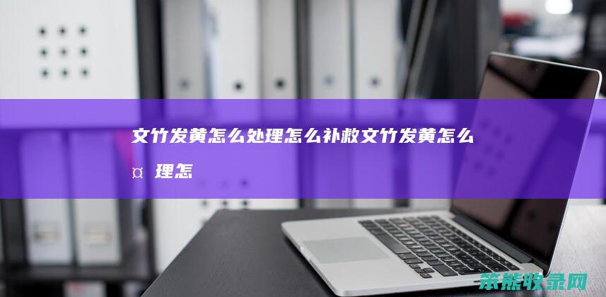文竹发黄处理补救文竹发黄处理怎