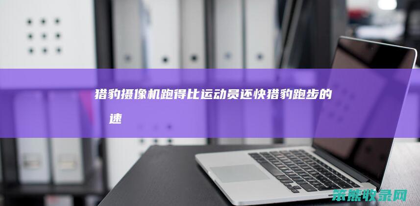 猎豹摄像机跑得比运动员还快猎豹跑步的时速